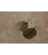 Boucles d'oreille Feuille