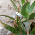 Bague Jonc Martelé