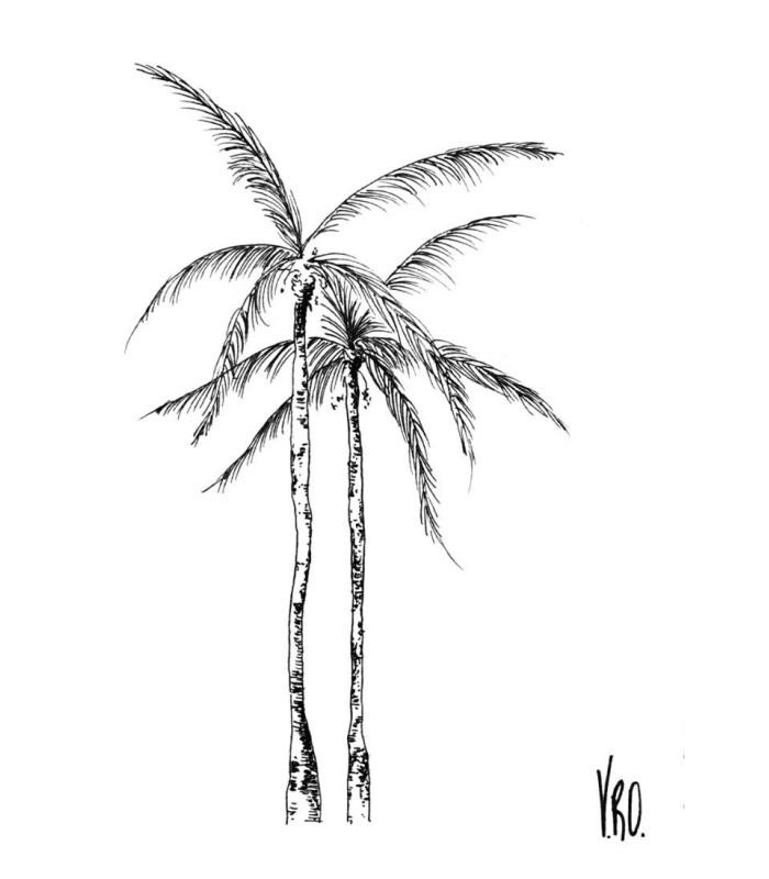 Carte dessin palmier