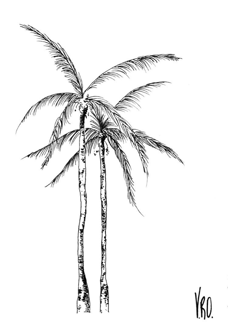 Carte dessin palmier