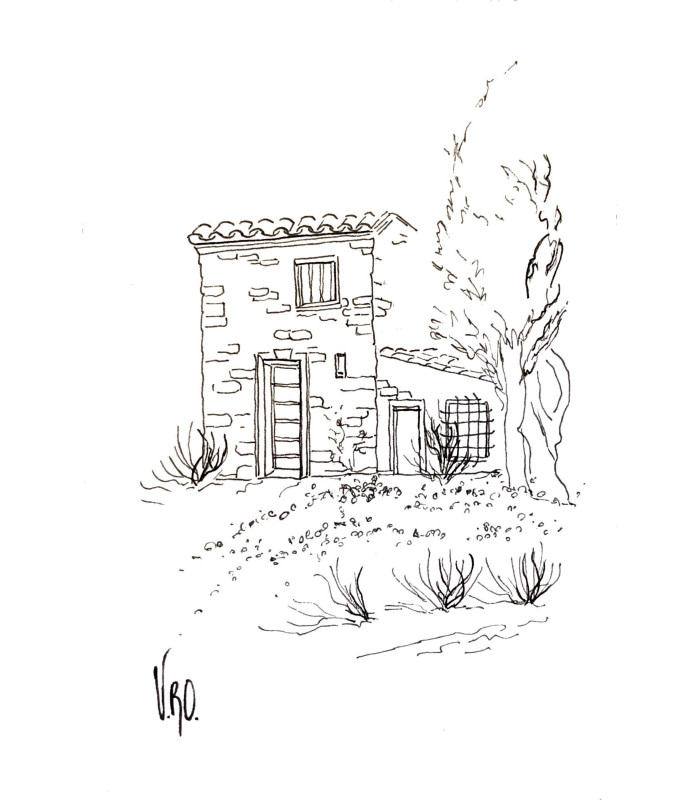 copy of Carte dessin cyprès