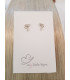 Boucles d'oreille Flamand Rose